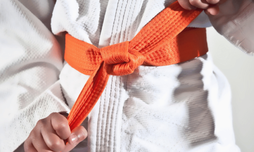 7 artes marciais para ensinar na educação física escolar